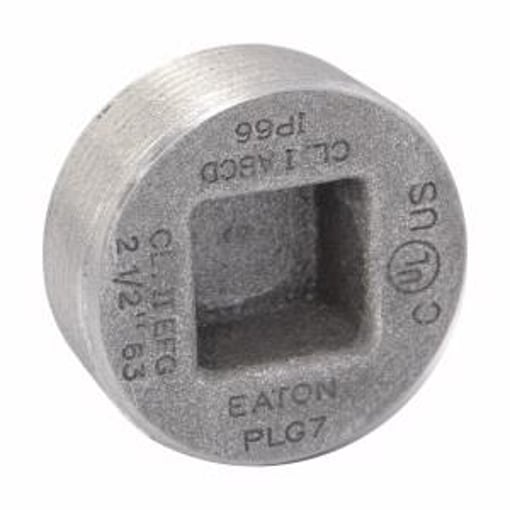 Plg2 c 300x300 300dpi
